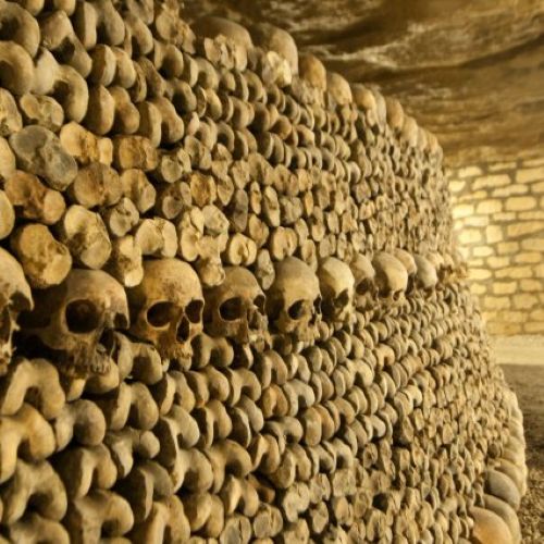 The recently deceased's bones being added to the new section of the Catacombs deticated to the tragedy of the Eiffel Tower