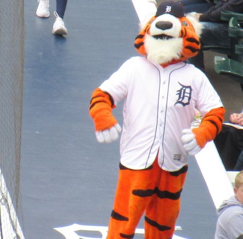 The last photo taken of the Tigers mascot, Micheal Stinweal